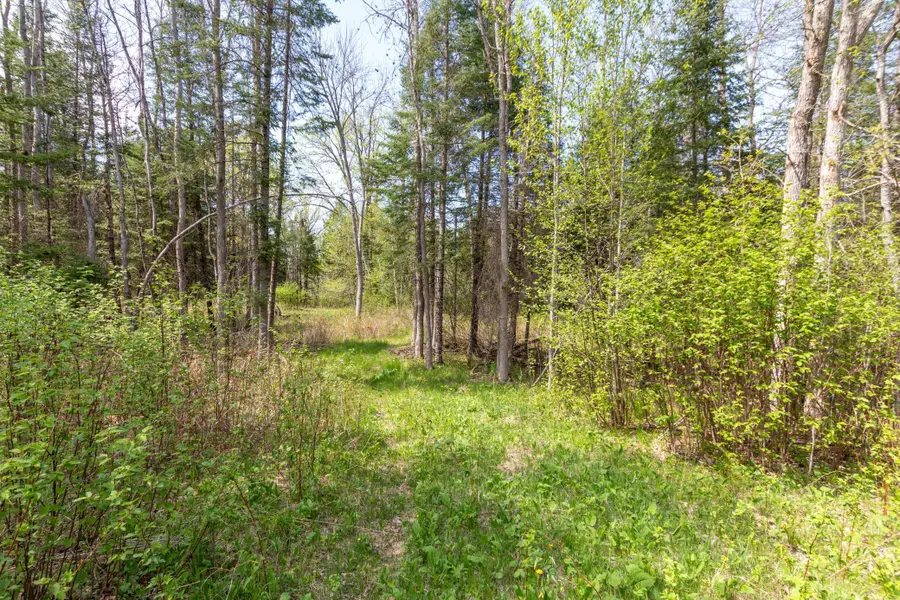 TBD Stephani Road Nw, Puposky, MN 56667 - #3