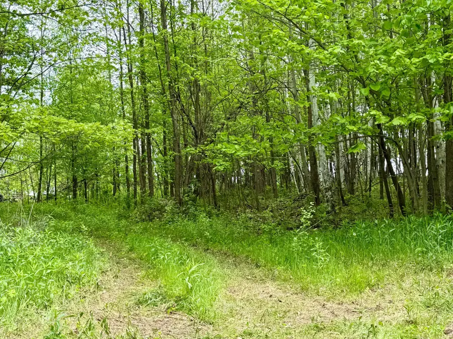 1065 105th Avenue, Milaca, MN 56353 - #3