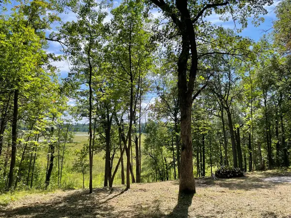 TBD Wedgewood Road Nw, Walker, MN 56484