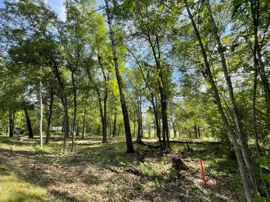 TBD Wedgewood Road Nw, Walker, MN 56484 - #3