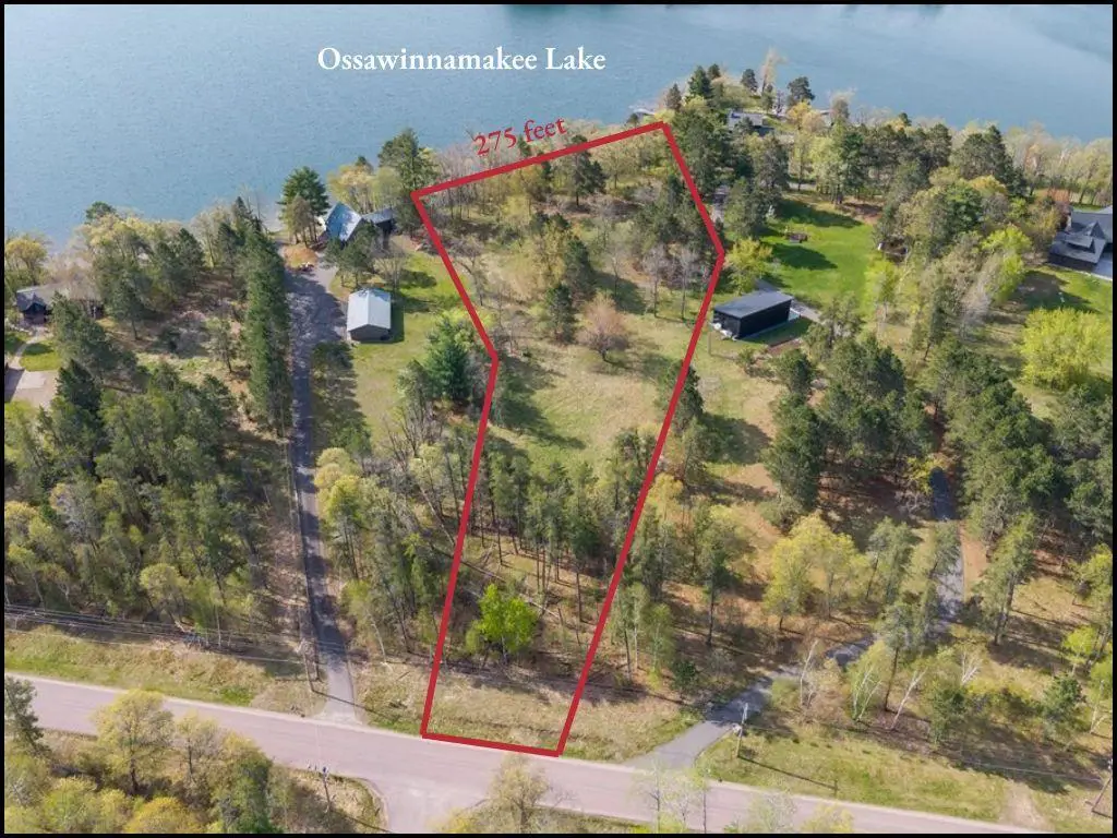 9235 Ossawinnamakee Road, Pequot Lakes, MN 56472 - #1