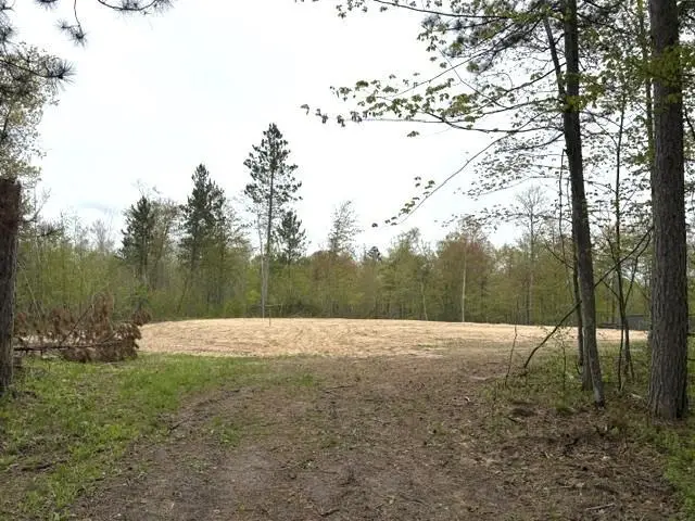 22132 Buckhorn Trail, Merrifield, MN 56465 - #2