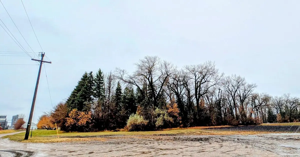 TBD Main, Saint Thomas, ND 58276 - #1