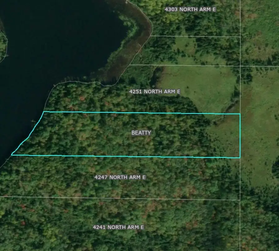 4251 North Arm E, Cook, MN 55723 - #3
