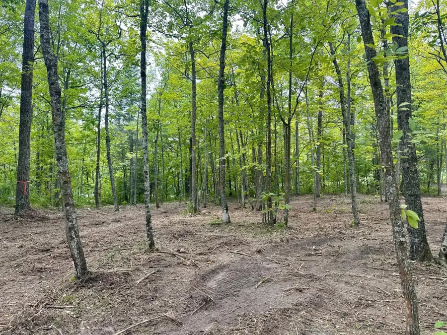 TBD County Road 157 Ne, Remer, MN 56672 - #3