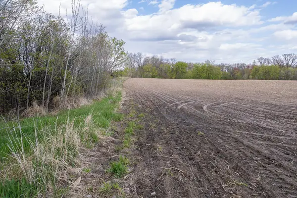 Parcel A - 20AC 465th Street, Sunrise Twp, MN 55032