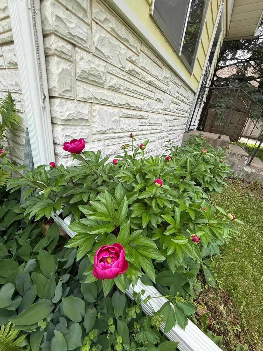346 Vance Street, Saint Paul, MN 55102 - #2