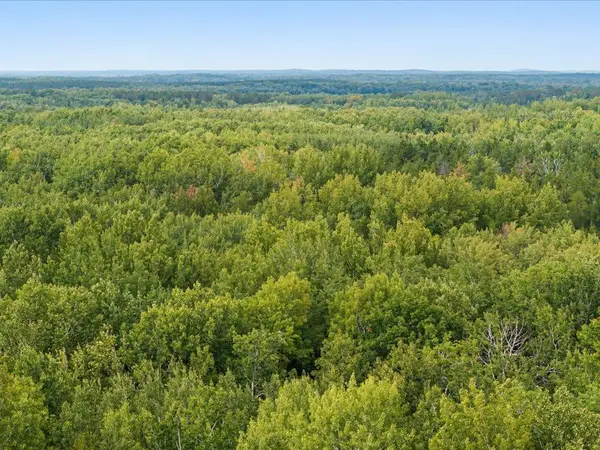Lot I Sandbar Lane, Merrifield, MN 56465