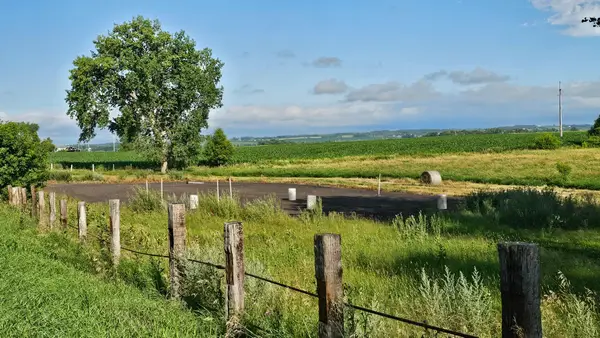 25318 County Highway 13, Audubon, MN 56511