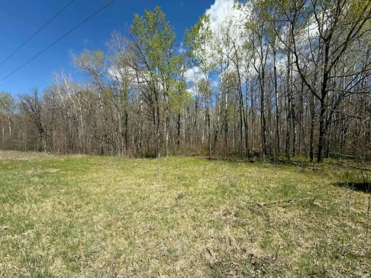 TBD Lamon Road Ne, Bemidji, MN 56601 - #1