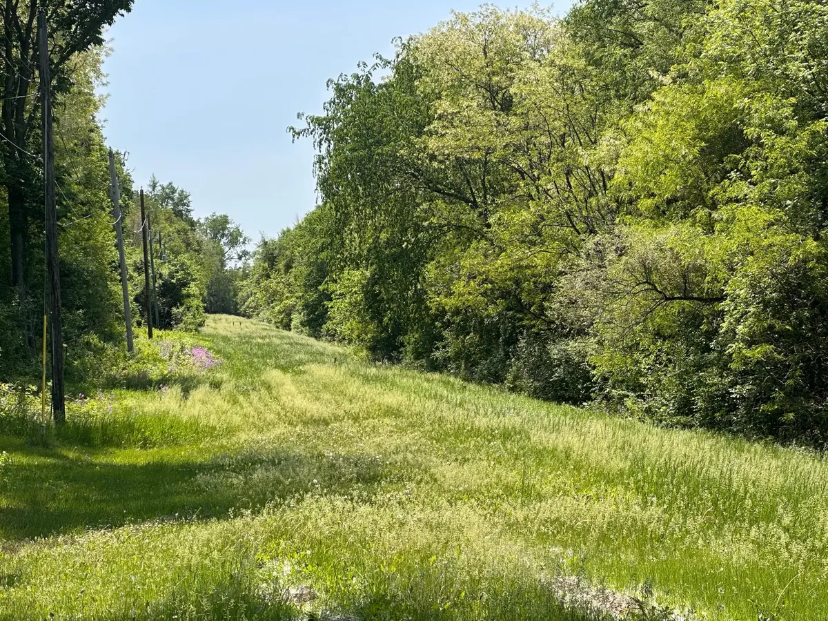 TBD Pullman Avenue, Saint Paul Park, MN 55071 - #1