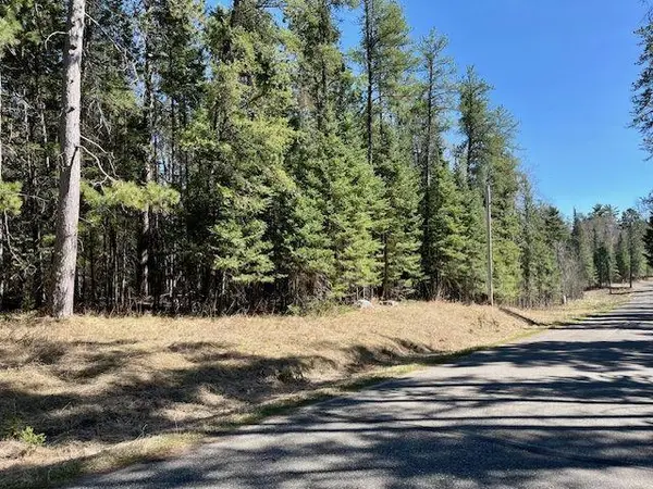 TBD New Melahn Dr. (lot 10(, Lake George, MN 56458