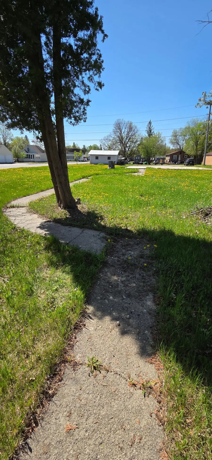 1103 9th Street, International Falls, MN 56649 - #2