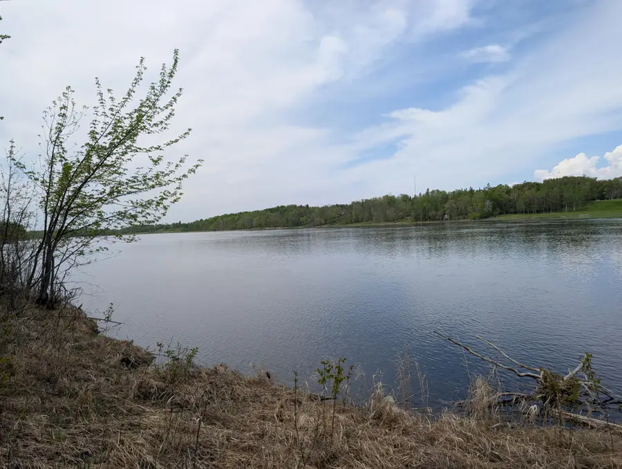 TBD Town Road 117, Baudette, MN 56623 - #2