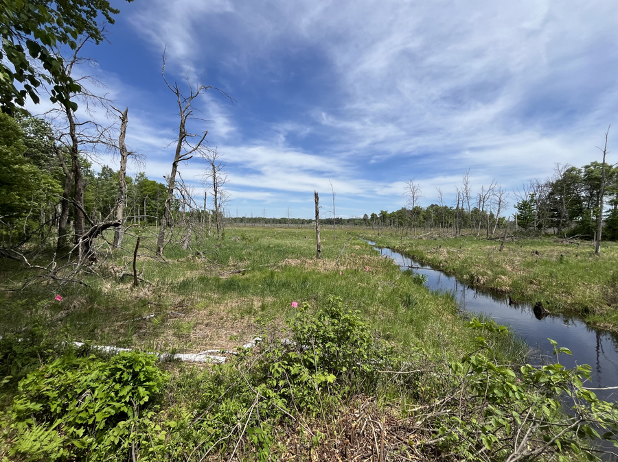 13384 Sorenson Lake Road, Merrifield, MN 56465 - #2