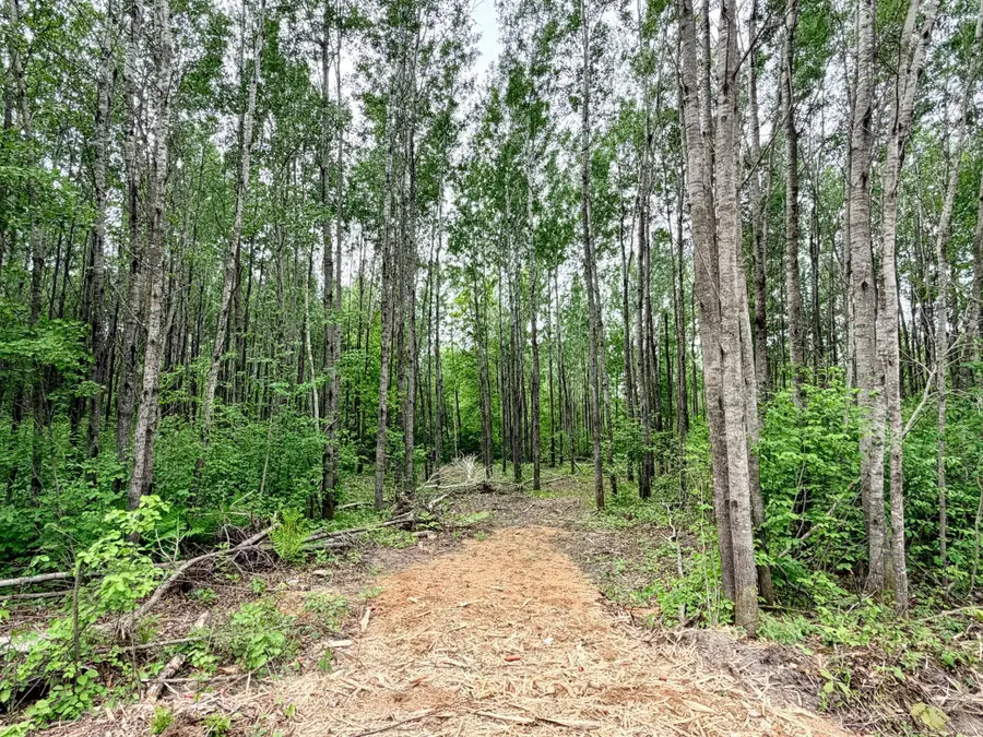 TBD Half Moon Rd, Park Rapids, MN 56470 - #3