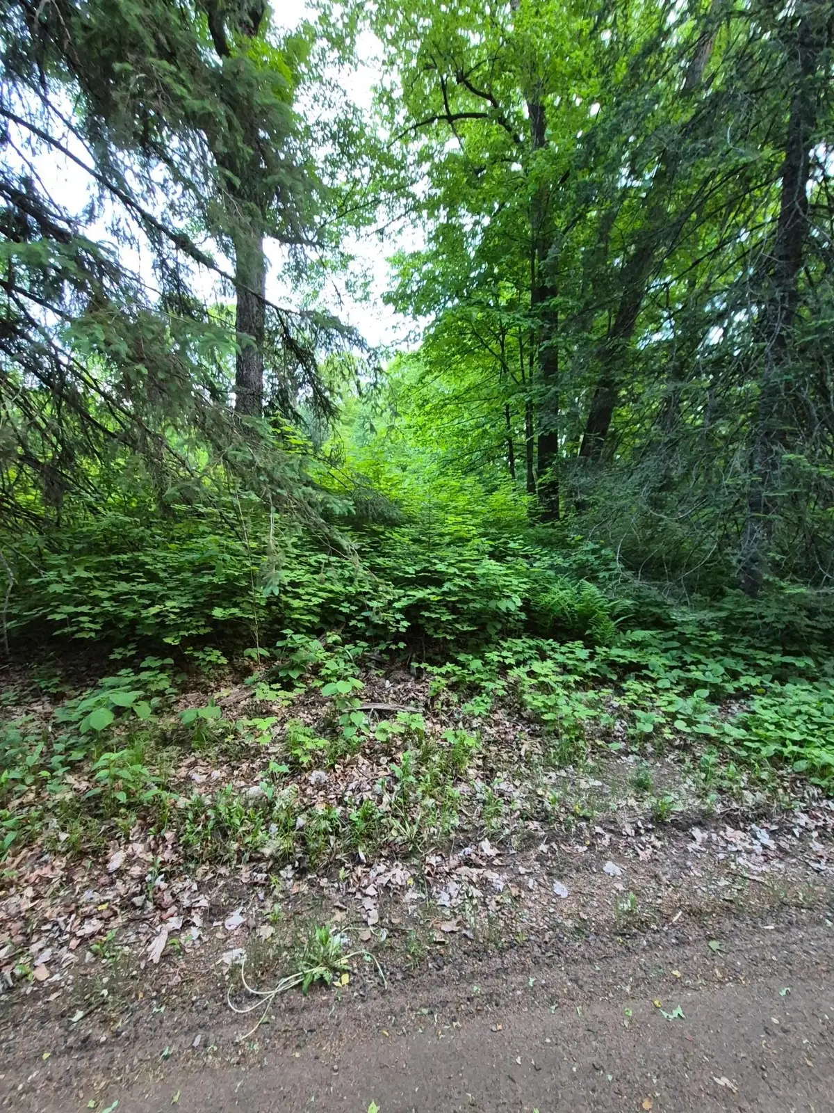 48458 197th Avenue, McGregor, MN 55760 - #1