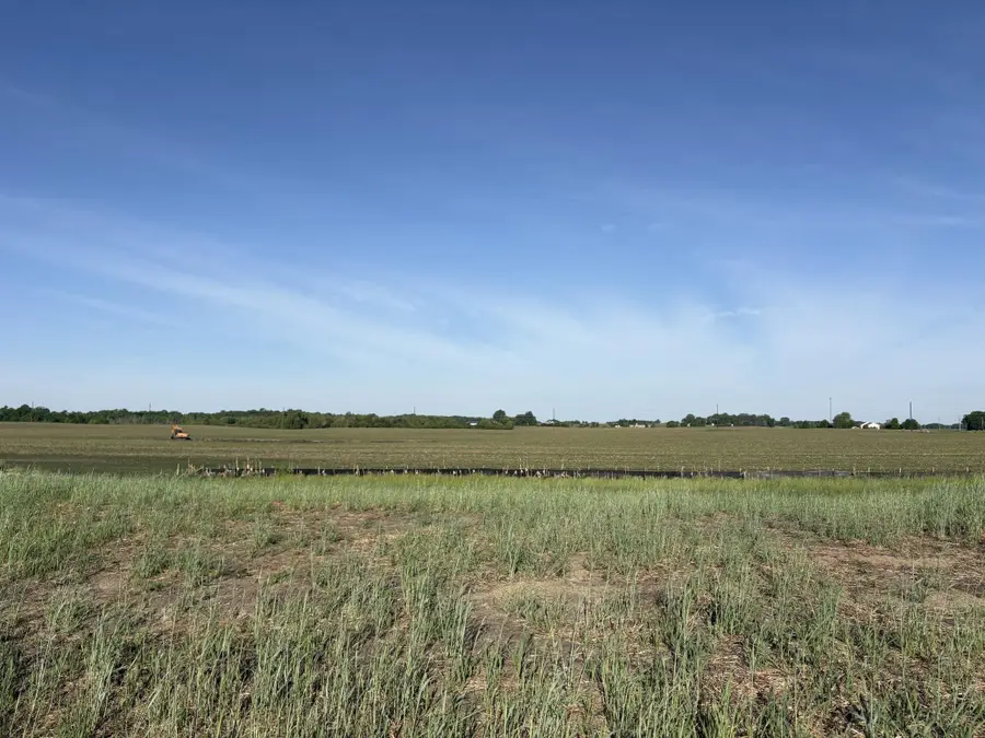 460 Ramey Road, Maple Lake, MN 55358 - #3