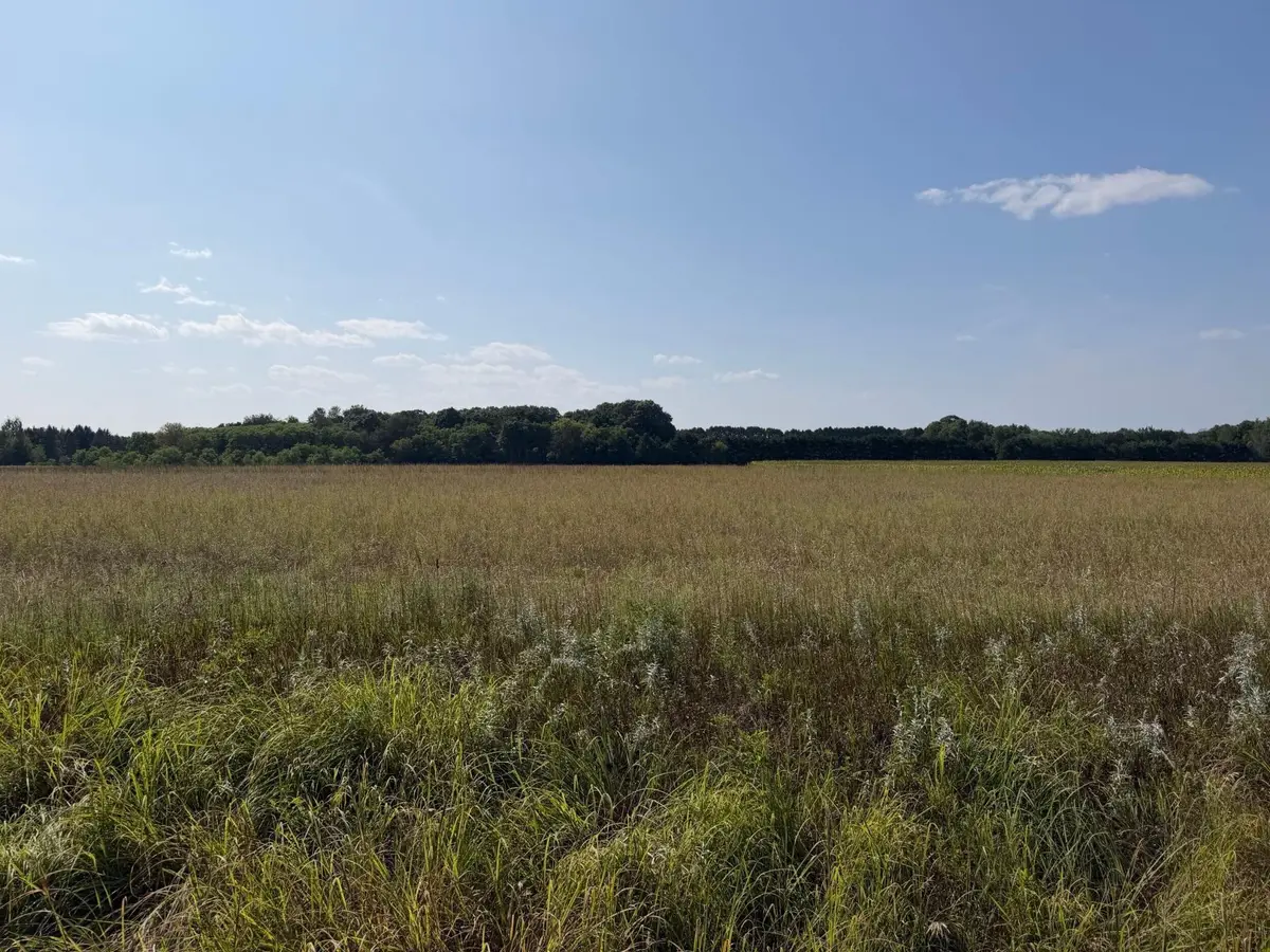 34660 Grand Avenue, Stacy, MN 55079 - #1