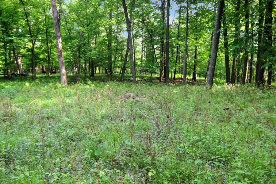 4294 Nod A Way Drive, Nisswa, MN 56468 - #2