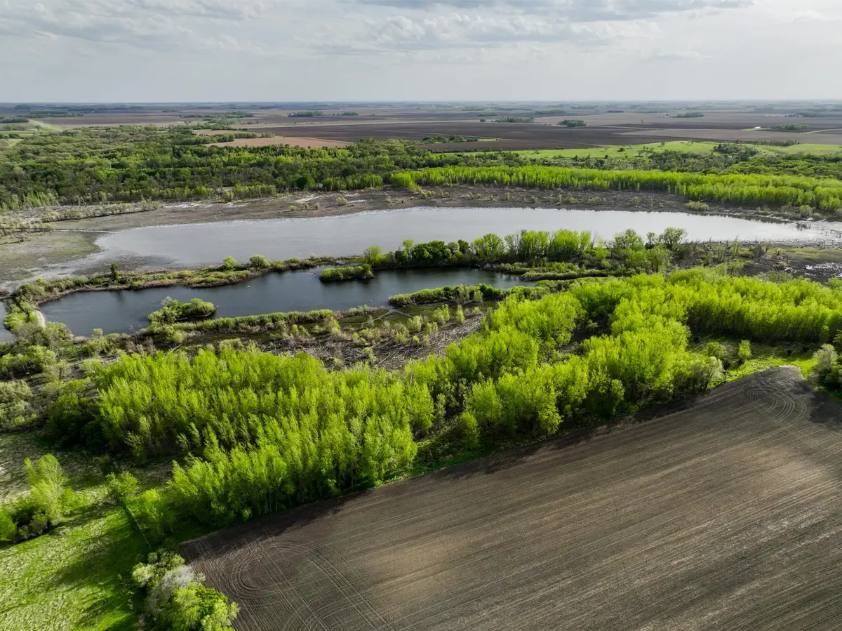TBD County Road 15, Montevideo, MN 56265 - #1