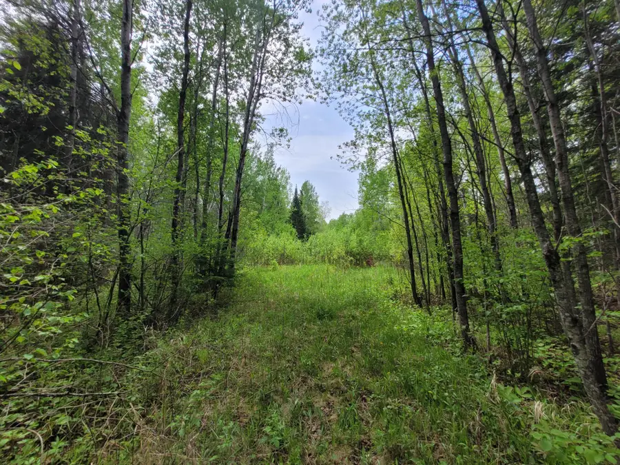 68232 County Road 547, Cook, MN 55723 - #3