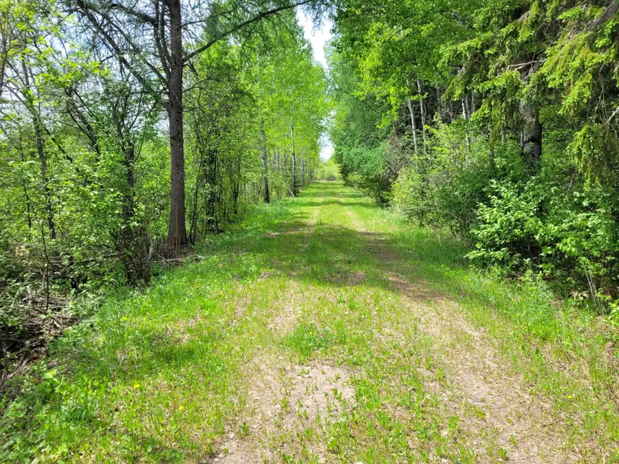 68401 County Road 547, Cook, MN 55723 - #2