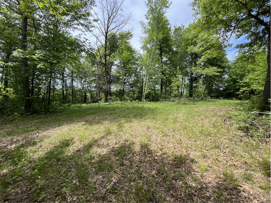 13384 Sorenson Lake Road, Merrifield, MN 56465 - #3