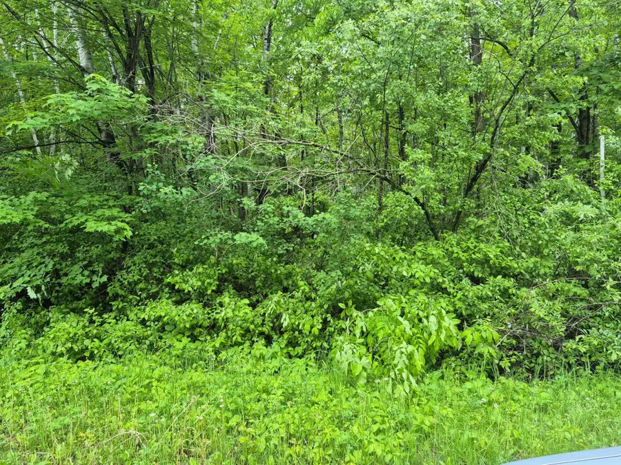 TBD Willow Dr, Garrison, MN 56450 - #2