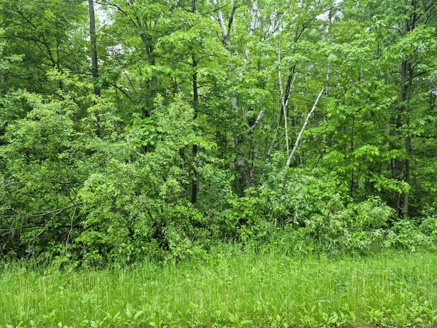 TBD Willow Dr, Garrison, MN 56450 - #3