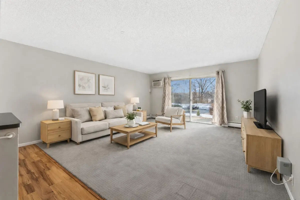 10311 Cedar Lake Road #103, Minnetonka, MN 55305 - #1