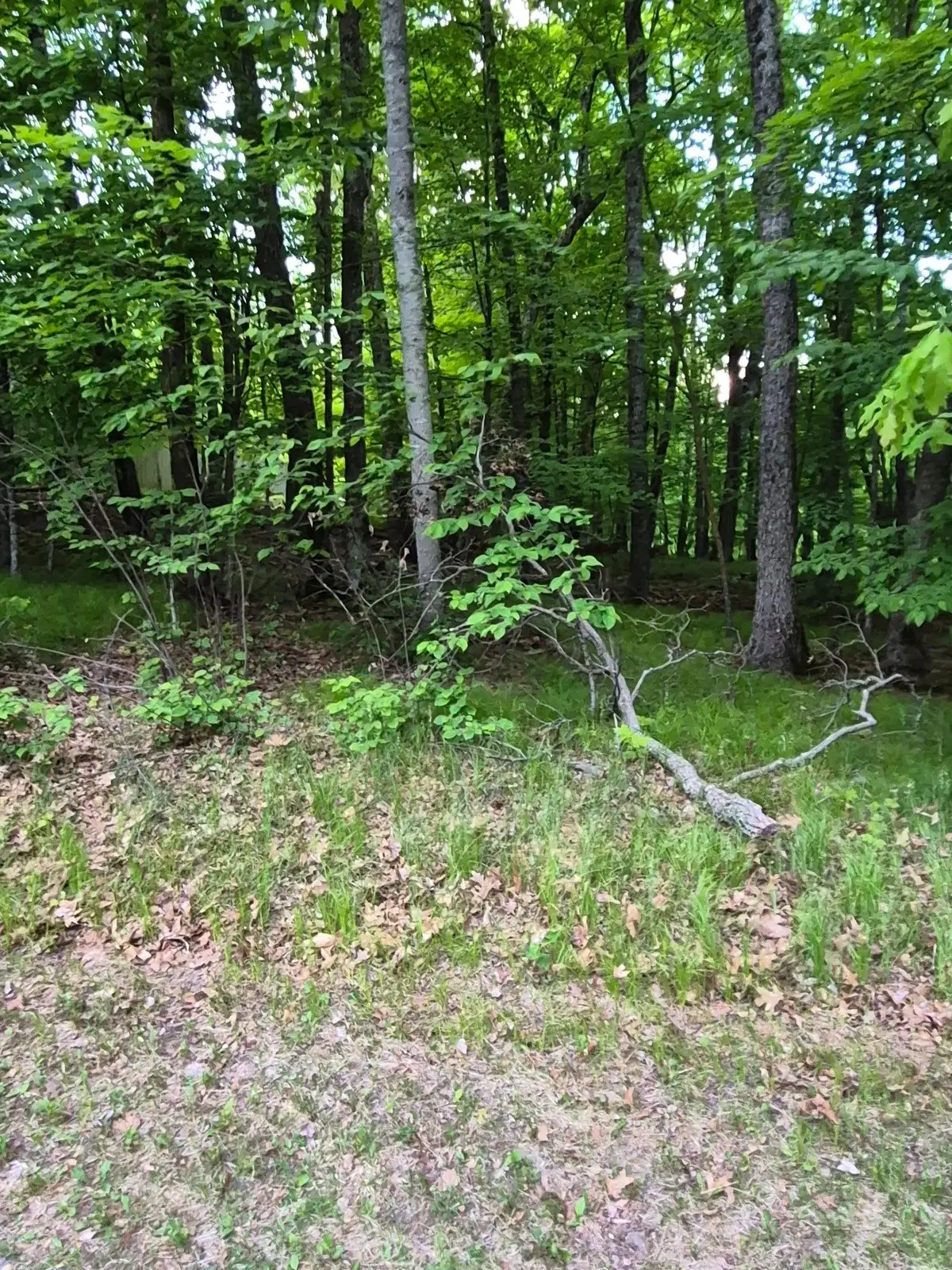 TBD LOT 353 195th Place, McGregor, MN 55760 - #1