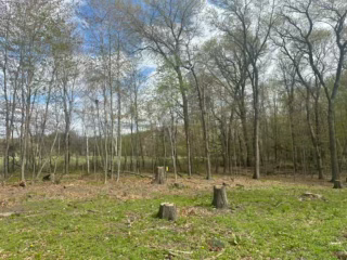 4188 161st Lane Ne, Ham Lake, MN 55304 - #3