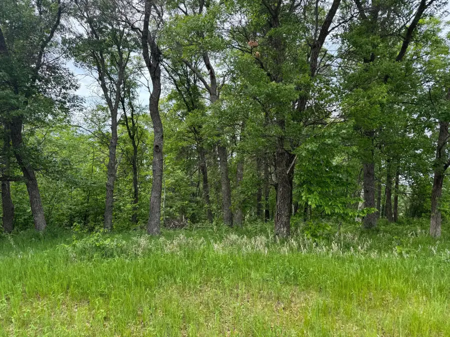 TBD Pawnee, Breezy Point, MN 56472 - #2