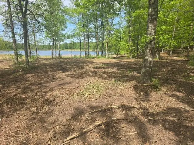 Lot 5 County Road 30, Crosby, MN 56441 - #1