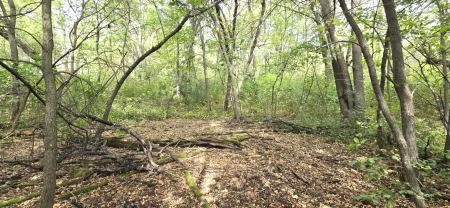 PARCEL TBD 250th Street, Mahnomen, MN 56557 - #2