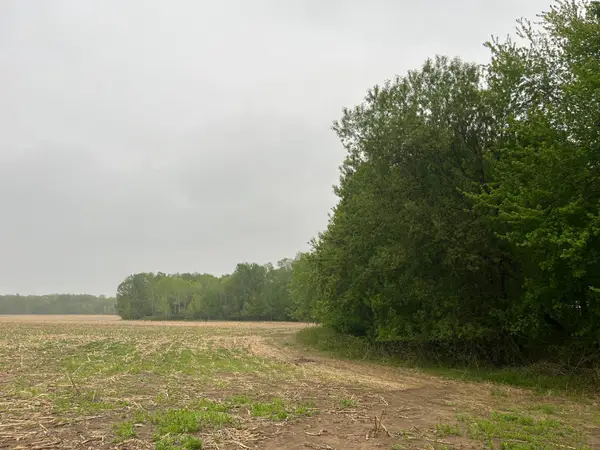 TBD (Lot 4) Hemingway Avenue, North Branch, MN 55056