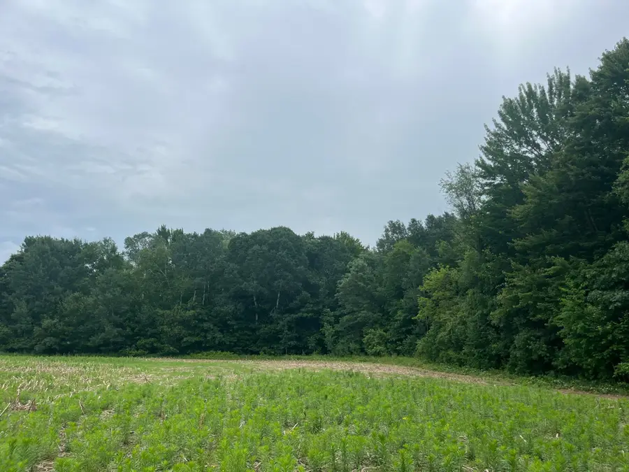 TBD (Lot 4) Hemingway Avenue, North Branch, MN 55056 - #2