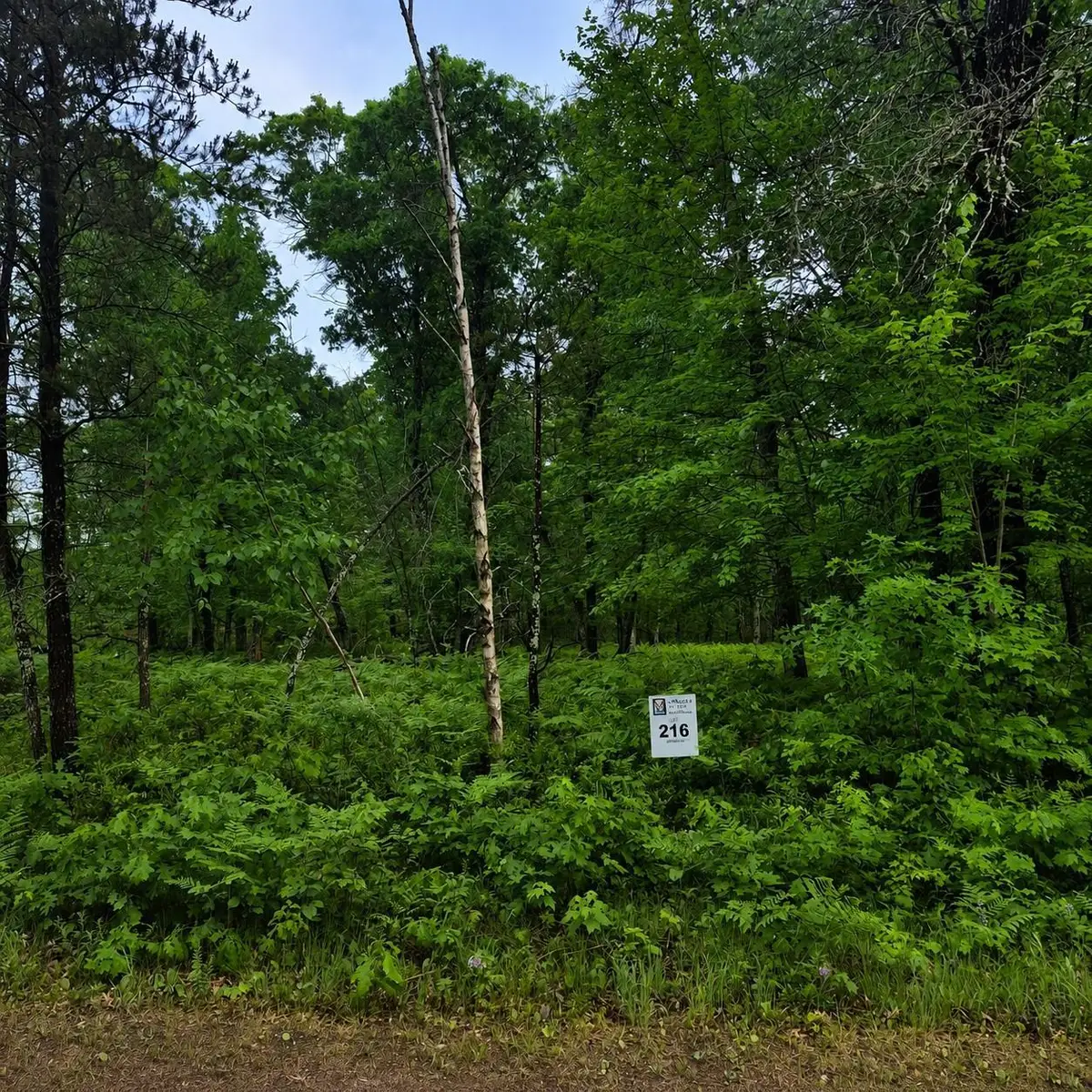 Lot 216 Deerpath Road, Danbury, WI 54830 - #1