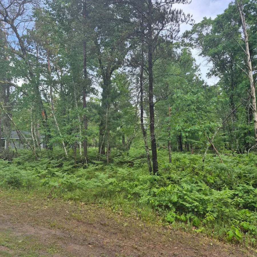 Lot 216 Deerpath Road, Danbury, WI 54830 - #2