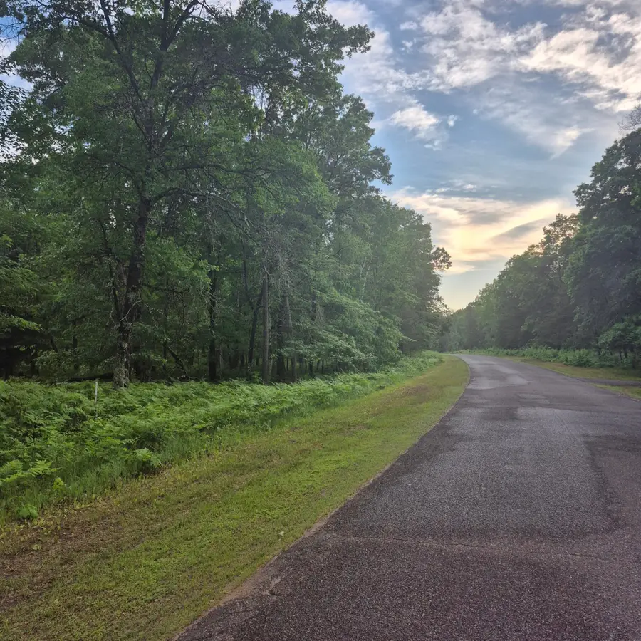 Lot 216 Deerpath Road, Danbury, WI 54830 - #3
