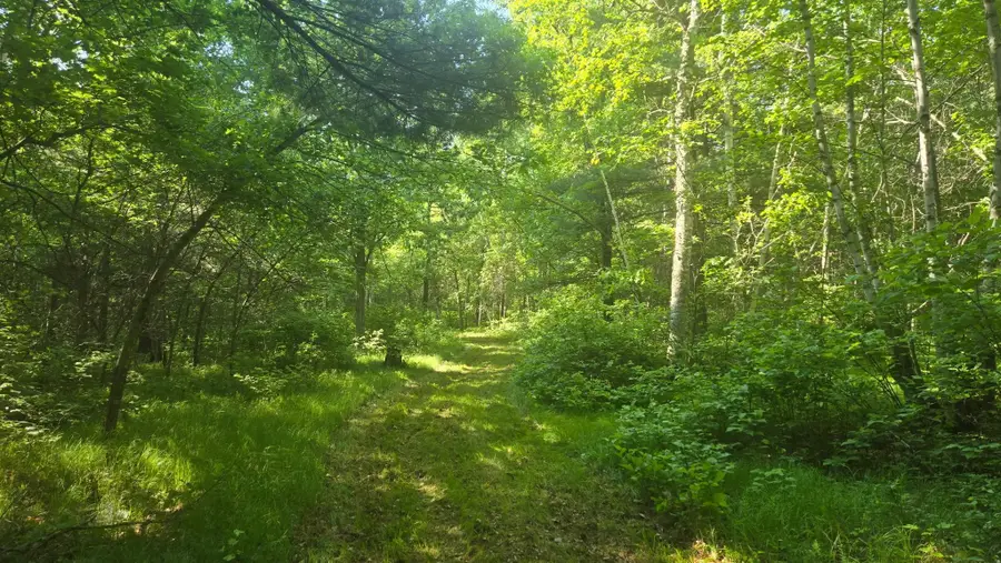 TBD County Road 13, Nisswa, MN 56468 - #3