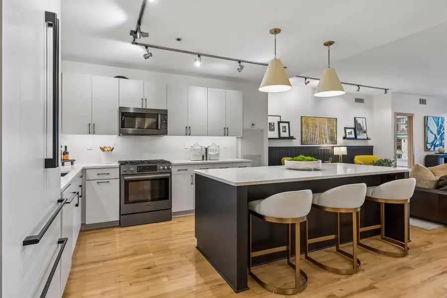 215 10th Avenue S #321, Minneapolis, MN 55415 - #2
