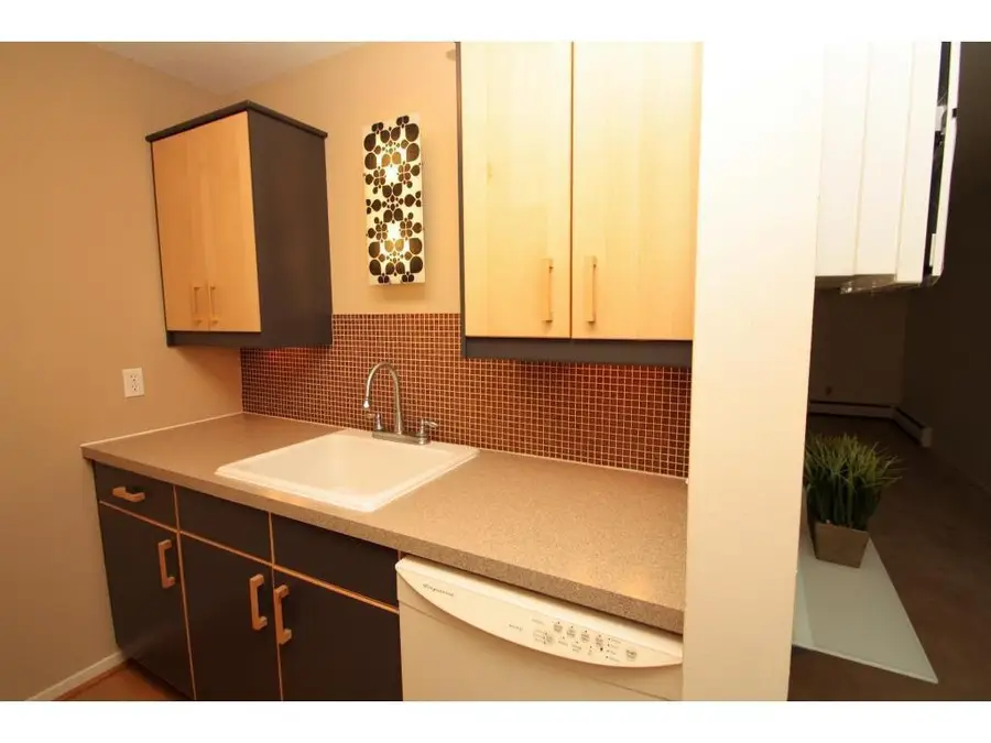 2800 Hamline Avenue N #229, Roseville, MN 55113 - #3