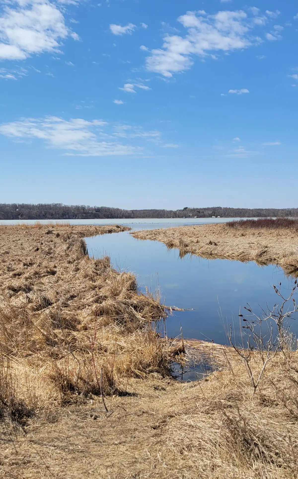 512xx Leaf River Road Tract A, Ottertail, MN 56571 - #1