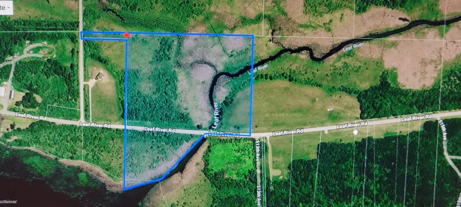 512xx Leaf River Road Tract A, Ottertail, MN 56571 - #2
