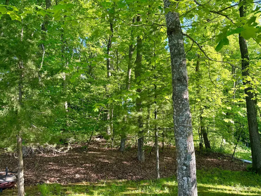 12639 Blackberry Trail, Sauk Centre, MN 56378 - #3