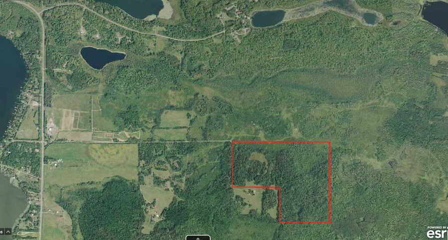 TBD 430th Lane, Fleming, MN 56469 - #2