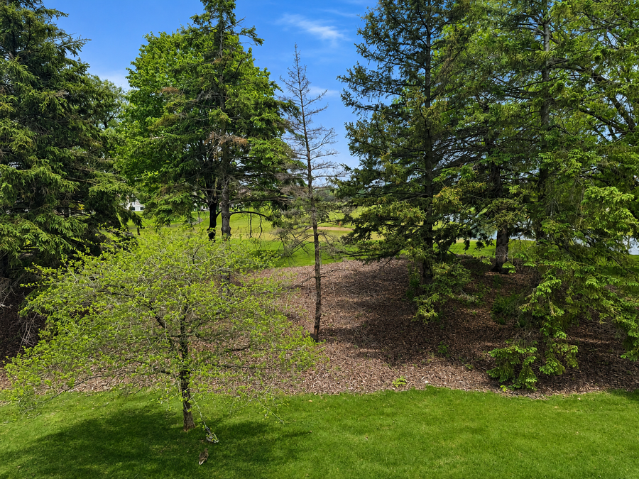 4233 93rd Avenue N, Brooklyn Park, MN 55443 - #2