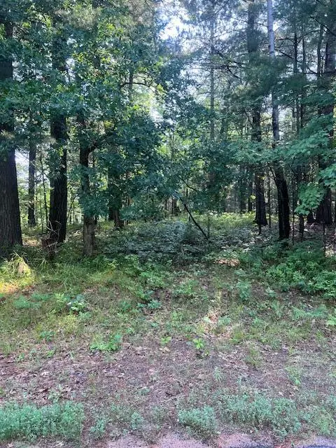Lot 27 Little Bear Drive, Danbury, WI 54830 - #2